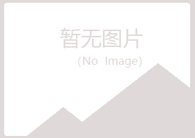 防城区山柏咨询有限公司